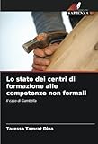 Lo stato dei centri di formazione alle competenze non formali: Il caso di Gambella (Italian Edition)