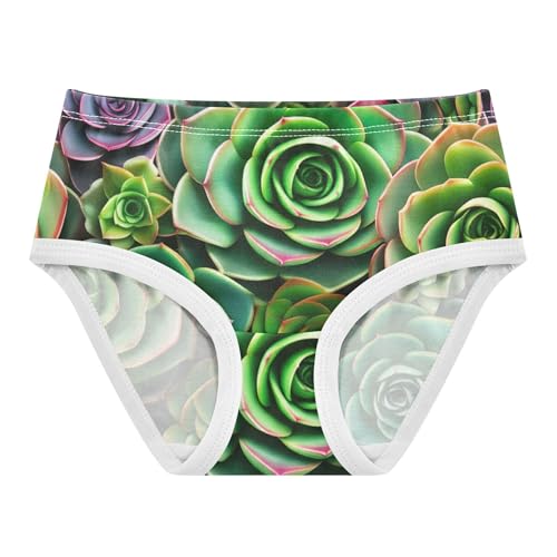 Toddler Girls Underwear 2t Cotton Panties for Girl Durable Underpants Briefs Succulent Plants Rosettes Green