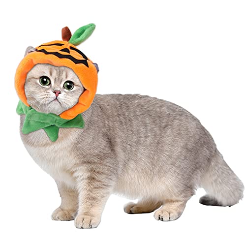 Disfraz de Halloween para perro XS con gorro y bufanda de calabaza