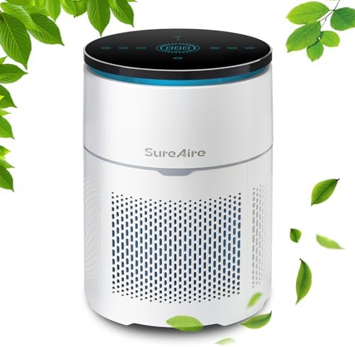 Air Purifiers for Large Room - True HEPA H13 Air Cleaner for Bedroom Office, Filters Smoke, Pet Dander, Odor, Pollen, Dust - HEPA AIR PURIFIER - Design in USA
