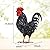 Ratuor Rooster Garden Statue Sculpture Metal Chicken Yard Decor Outdoor Figurines Patio Backyard Decoration (Black)