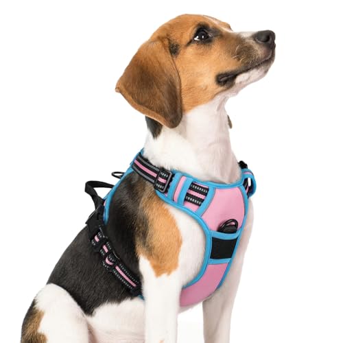 Image of rabbitgoo Dog Harness No Pull with 2 Leash Clips, Adjustable Soft Padded, Reflective Oxford No Choke Pet Vest with Easy Control Handle for Medium Sized Dogs, Pink & Blue, M
