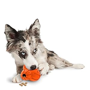 PetSafe Medium Sportsmen Barnacle Pet Chew Toy