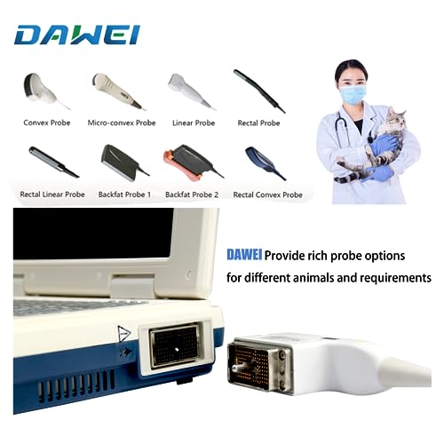 ultrasound machine high capacity 389