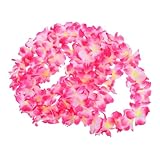 Photo Gallery magiclulu 4 pezzi ghirlande hawaiane spesse in rosa collane di fiori per festa luau decorazioni tema hawaiano per spiaggia e vacanze estive Photo Gallery magiclulu 4 pezzi ghirlande hawaiane spesse in rosa collane di fiori per festa luau decorazioni tema hawaiano per spiaggia e vacanze estive