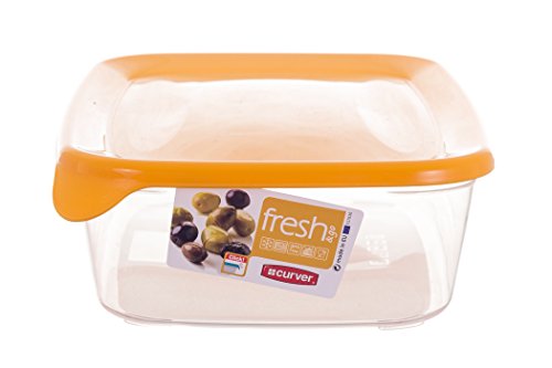 CURVER congélateur-coffre-Fort Rechteckige Container Kunststoff-Lagerung von Lebensmitteln mit Deckâ€¦ – Vignette