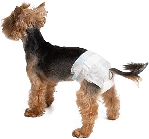 Croci Dog Nappy Windelhöschen für weibliche Hunde, Größe S, hygienische Windel für Zyklus und Pfeifen, geruchshemmend, Einwegwindel, verstellbarer Klebeverschluss, 14 Stück