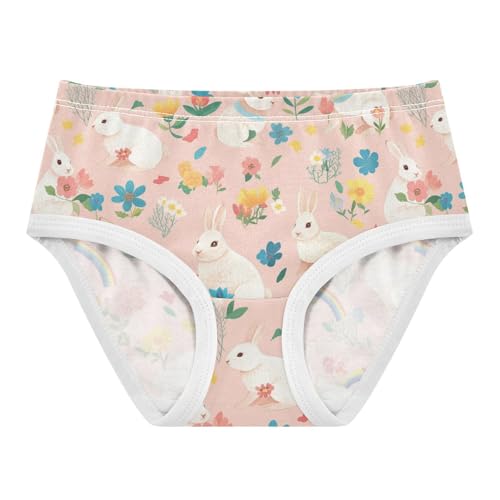 Wusikd Rabbits Rainbows Girls' Underwear Cotton Flowers Girls Briefs Soft Toddler Underwear 2T