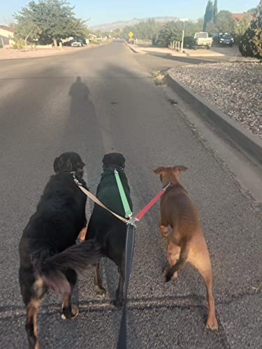 image for cocopet Night Version Heavy Duty 3 Way Dog Coupler Braid Leash No Tang