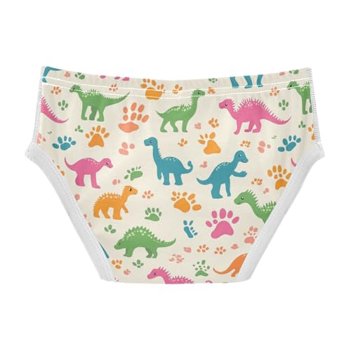 Wusikd Colorful Dinosaurs Boys' Underwear Cotton Paw Print Boys Briefs Soft Toddler Underwear 2T2