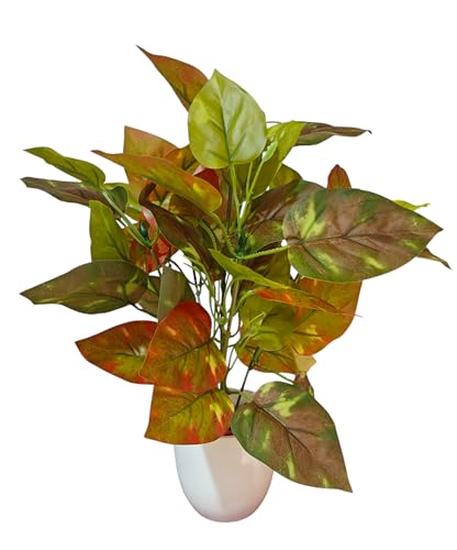 Image of Natural Looking Artificial Money Plant /Tree with Pot | Ornamental Plant for Interior Decor | Home /Shop /Office Decor (Orange)