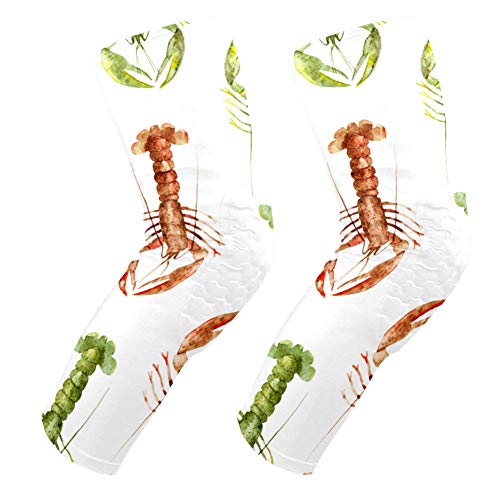 Genouillères de basket et football motif homard pour homme et femme