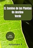 Independently published