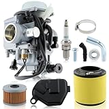 MOTOALL New TRX350 Carburetor for Honda Rancher 350 TRX350 350ES 350FE 350FMTE 350TM 2000-2006 Carb