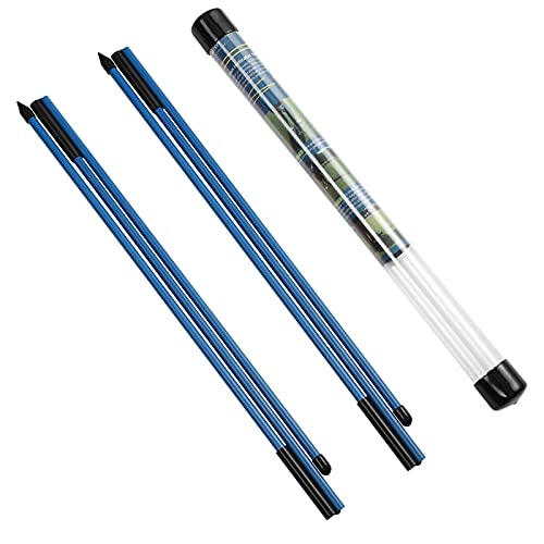 Rhino Valley Golf Alignment Sticks - 2 Pack Collapsible Golf Practice Rods For Aiming, Putting, Full Swing Trainer, Posture Corrector With Clear Tube Case, Portable Golf Training Equipment, Blue #TOP8