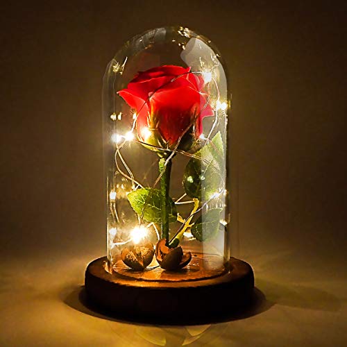 Jieway Beauty and The Beast Rose, Rose Light Dream Flower Enchanted Rose in a Glass Dome with USB LED Light Wooden Base Gift for Valentine's Day, Weddings (Red)