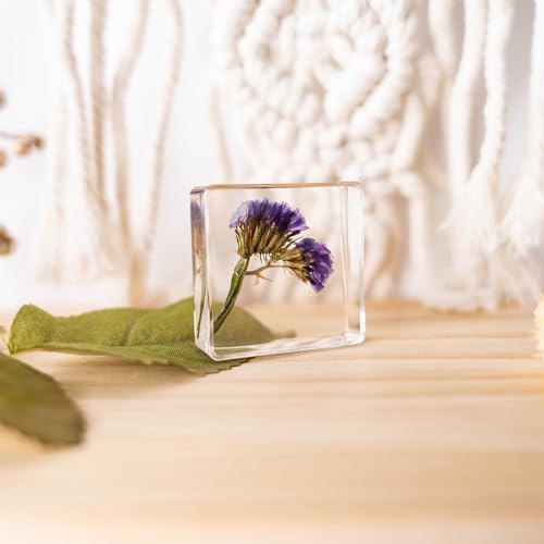 vXt[y[p[EFCgA{̉ԂƐAW{y[p[EFCgNtgfXNgbvȊwƃMtg(XiOT)