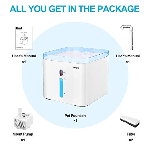 Best Water Fountain For Flat Faced Cats