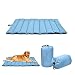 UKCOCO Materassino per cani per animali domestici, impermeabile, grande, per viaggi all'aria aperta, colore: blu