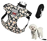 Arnés Perro Pequeño Antitirones Ajustable con Tiras Reflectantes, Chaleco Transpirable y Cómodo para Gatos, Cachorros y Mascotas Pequeñas – Negro con Estampado Floral