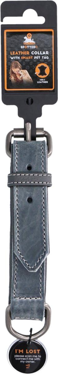 Collare in pelle – Collare per cani con pin QR – Collare con chiusura magnetica – Impermeabile – Taglia XXL – 65 cm – Grigio