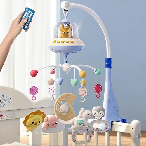 Ԃ [ xr[xbhx xbh[ 360x] Cutdred [ Ԃ ԏƖt Rt yߋ mQ  1574 yʒ߉\ xr[IS[ ݂񐇖IS[ 0 1 pi cp q