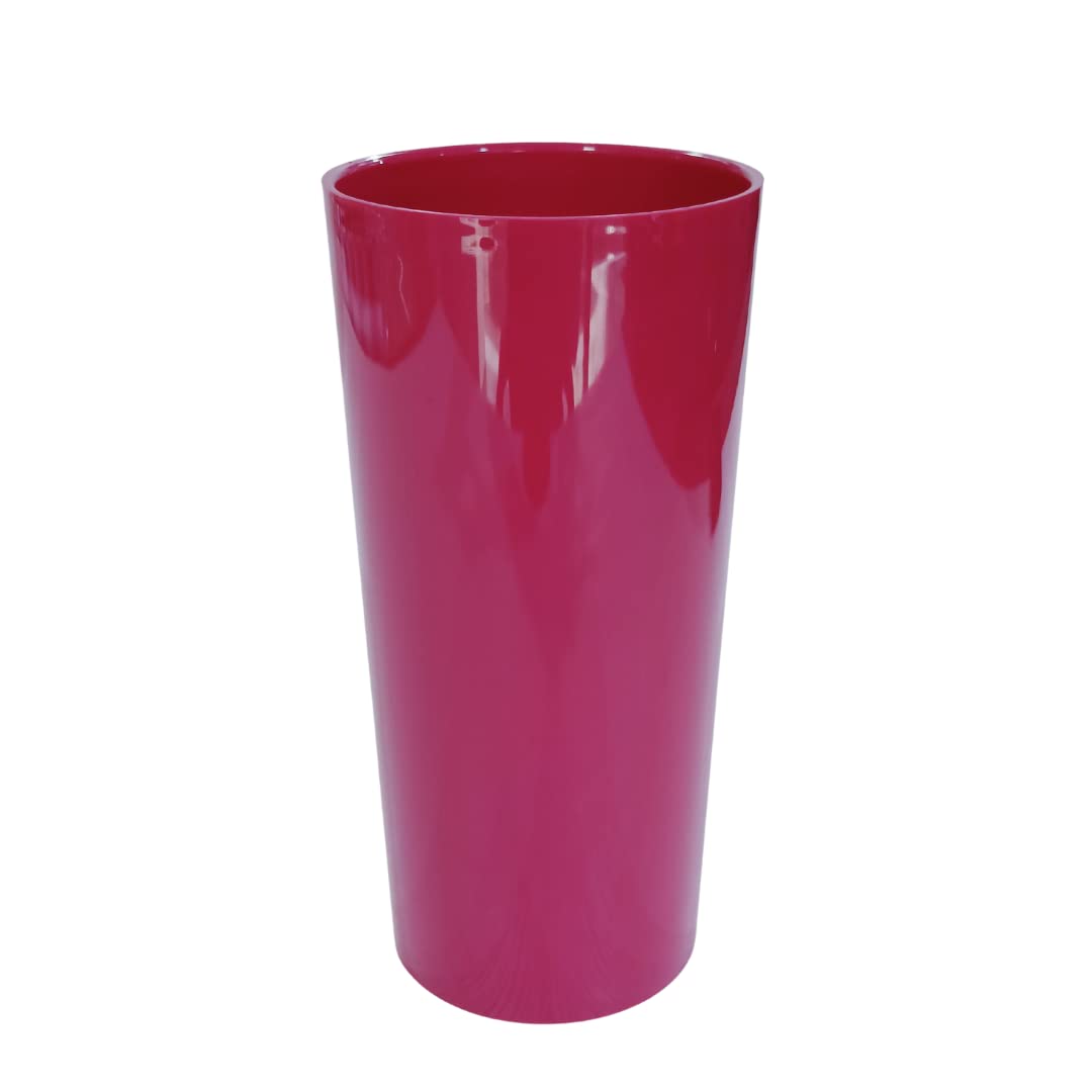 Oasis Acrylic Vase Multipurpose Home Office Table Decoration Flower Indor Plants Secculants Vase Cylinder Magenta 12x25cm (1 No) (B0BV6YSD2D) Amazon Price History, Amazon Price Tracker