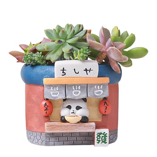 Macetas pequeñas, macetas de interior de dibujos animados, prácticas macetas de resina para cactus y suculentas