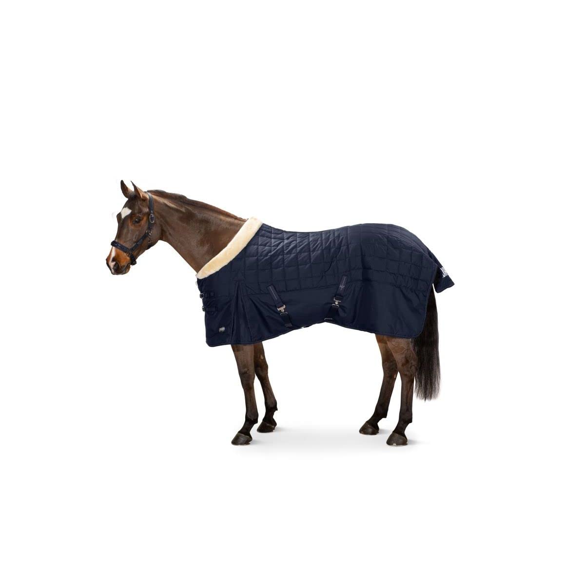 Eskadron Zeta 200 Stalldecke Navy Basics