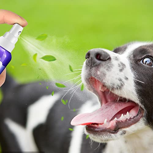 Dentifricio Spray per Cani Pulizia Denti Cane
