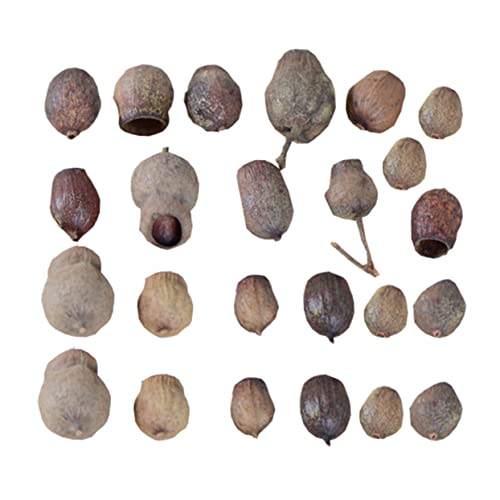 jojofuny 24 peças vaso de plantas de frutas secas decoração de mesa de sala de jantar decoração de plantas nozes artificiais ornamentos de Natal DIY mesa de Natal dispersão frutas secas