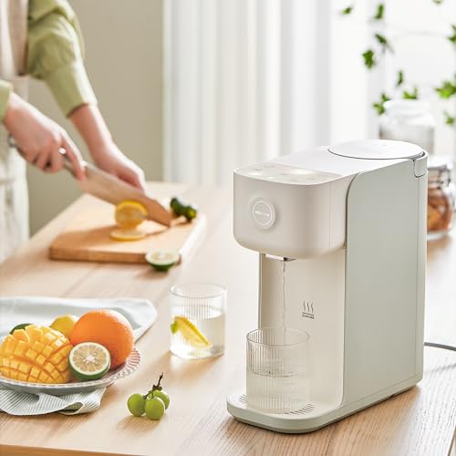 Mini chaudière électrique instantanée 5 niveaux pour eau chaude rapide