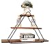 LH-Scaffalature Parete a 3 posti Parete in Metallo Ferro Parete a Parete | Mensola a Muro pensile per Camera da Letto Come scaffale per libreria Vintage Geometrica (Nera) Parete Scaffale