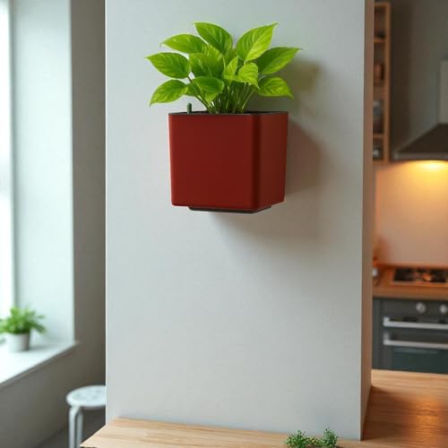 Image of Indian Discovery Self Watering Wall Hanging Planter|Hanging /Hooked Flower Pots for Home, Balcony, Vertical Garden Decor Flower Pots(1 PC, Maroon, Square) |6 Inch UV-Resistant Plastic Plant Pots