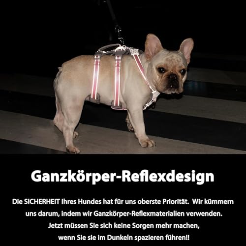 Huntboo Sicherheitsgeschirr Hund Ausbruchsicher, Panikgeschirr für Hunde, Reflektierendes Geschirr mit Gepolstertem Griff, Verstellbare Weste für Kleine Hunde, die Spazieren Gehen (Blau,XS)
