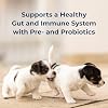Pet-Ag PetLac Powder for Puppies - 10.5 oz - Puppy Milk Replacement Powder Puppies Newborn to Six Weeks Old - Easy to Digest
