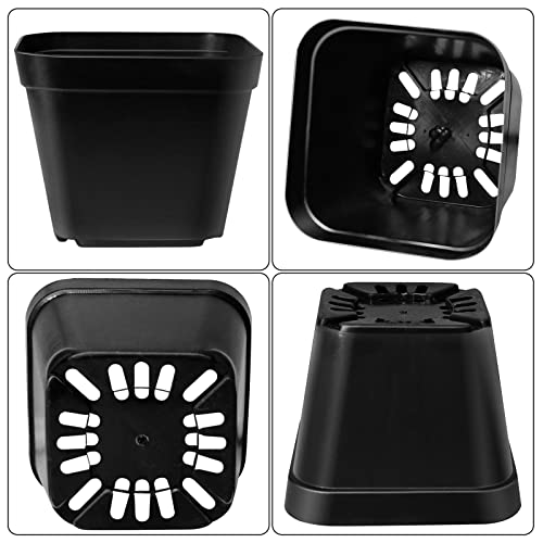 Muzhira Anzuchttöpfe, Ø10cm 20 Stück Premium Quadrat Anzucht Topf - Blumentöpfe für Sämlinge für Obst, Gemüse, Sukkulenten, Setzlinge, Stecklinge, Umpflanzen