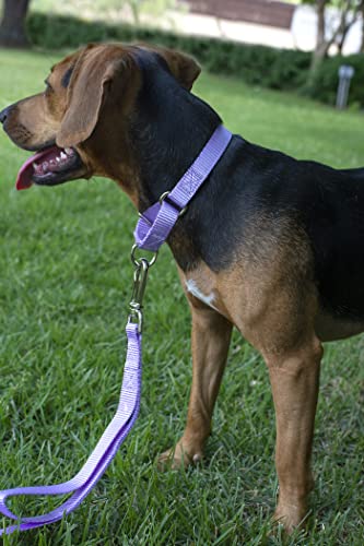 Country-Brook-Design-Lavender-Martingale-Heavyduty-Nylon-Dog-Collar-21-Vibrant-Color-Options-1-Inch-Width-Medium