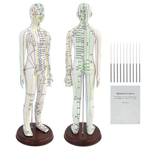 Modelo humano de acupuntura de 20,47 pulgadas ideal para decorar y estudiar en tu consulta