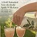 Kava Haven Non Alcoholic Spirit, 750mL Bottle | Kava Kava Drink | Non Alcohol Alternative Spirit for Mixed Drink Recipes | Low Calorie | All Natural | - Lemon Ginger Flavor (17 Servings)