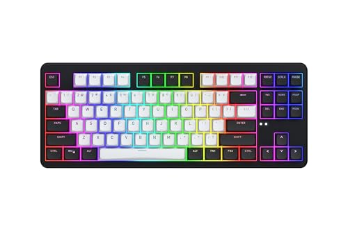 HATOR Rockfall 3 TKL Wireless Clavier Gaming mécanique sans fil, 87 touches, Hot-Swap, RGB, PBT, Anti-Ghosting, QMK/VIA, 1000Hz, 2.4GHz/Bluetooth 5.3/USB-C, PC/Mac/Linux, US/ANSI Layout (QWERTY), Noir
