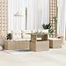 vidaXL Garten-Sofa-Set mit Speicher 6 pcs Beige Poly Rattan, Garten- und Terrassensofas, Moderne Outdoor-Möbel, leicht, langlebig, UV-beständig, modulares Esszimmer-Set