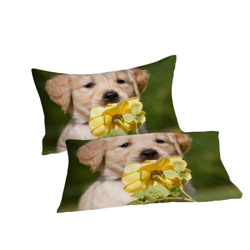 Housse de couette animaux imprimé 3D chiots taies d'oreiller lit King 220x240 - 7