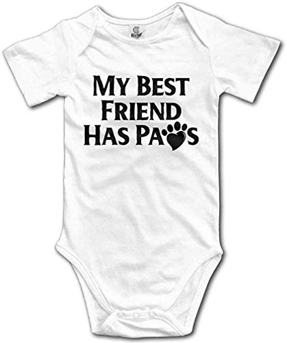 Top 10  carters my friend has paws Review