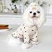 Yaopelky Haustierkleidung für kleine Hunde und Katzen, Sommer, Herbst, Herzmuster, dehnbar, Rüschen, langärmelige Outfits für Chihuahua, Schnauzer, Shih Tzu, Yorkie (Kaffee, M)