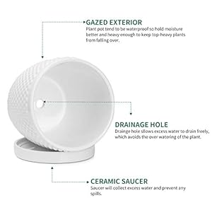 POTEY White Planters Pots for Plants Indoor 053601 5.5 Inch Glazed Ceramic Modern Vintage-Style Hobnail Textured Planters Bonsai Container with Drainage Hole & Saucer(Plants Not Included) POTEY White Planters Pots for Plants Indoor 053601 55 Inch Glazed Ceramic Modern Vintage Style Hobnail Textured Planters Bonsai Container with Drainage Hole SaucerPlants Not Included