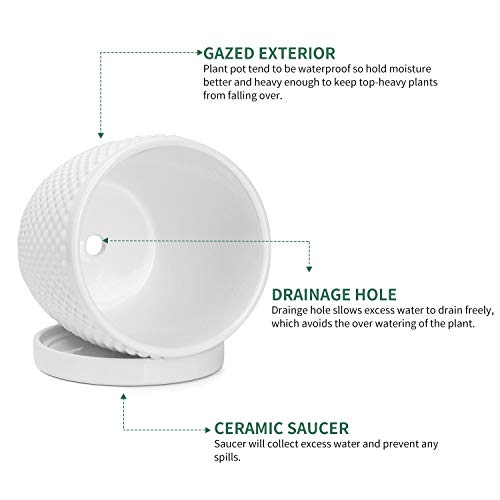 POTEY-White-Planters-Pots-for-Plants-Indoor-053601-55-Inch-Glazed-Ceramic-Modern-Vintage-Style-Hobnail-Textured-Planters-Bonsai-Container-with-Drainage-Hole-SaucerPlants-Not-Included POTEY White Planters Pots for Plants Indoor 053601 55 Inch Glazed Ceramic Modern Vintage Style Hobnail Textured Planters Bonsai Container with Drainage Hole SaucerPlants Not Included