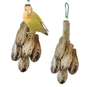 Bird Carambola Molar Toy Promotes Health and Long Lasting Entertainment Suitable for Bird Enthusiasts Training Parrots Chewing Toy Hanging Natural Material Parrots Chewing Toy (2 Pcs)
