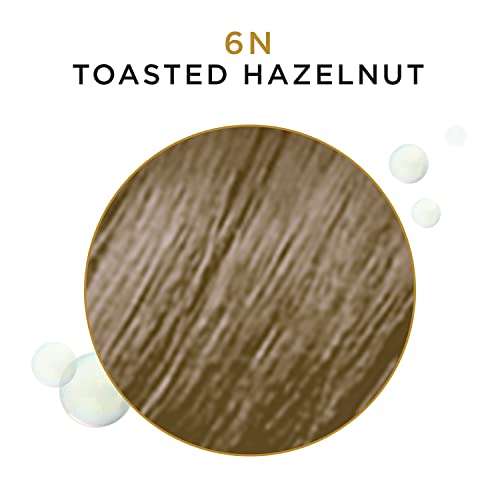 Clairol Professional Beautiful Advanced Gray Solutions 6N Toasted Hazelnut, 3 Oz #TOP2
