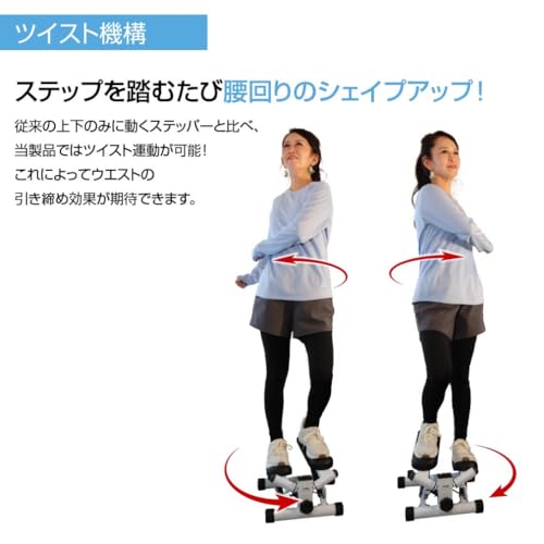 TIGORA(ティゴラ) ステッパー ツイスト機能 静音 省スペース お手軽モデル の商品画像 1